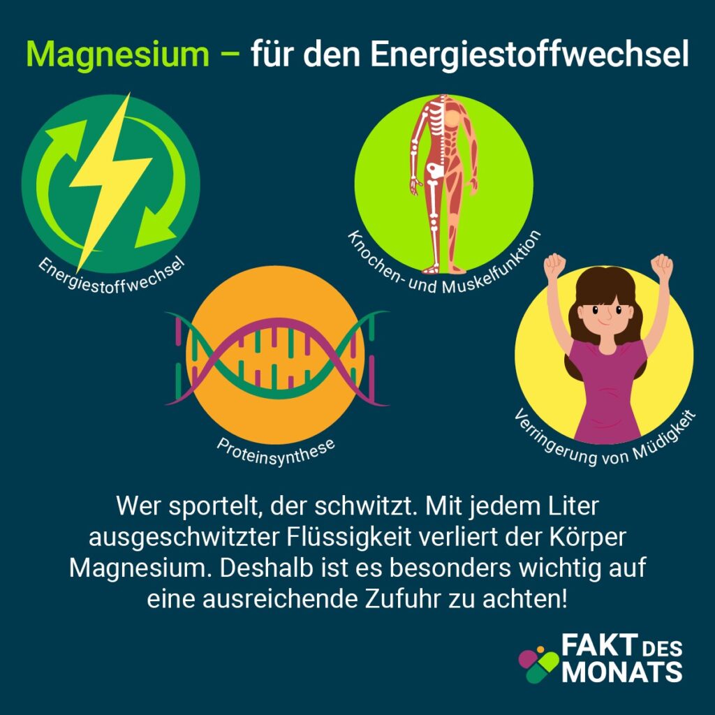 Grafik: Magnesium für den Energiestoffwechsel