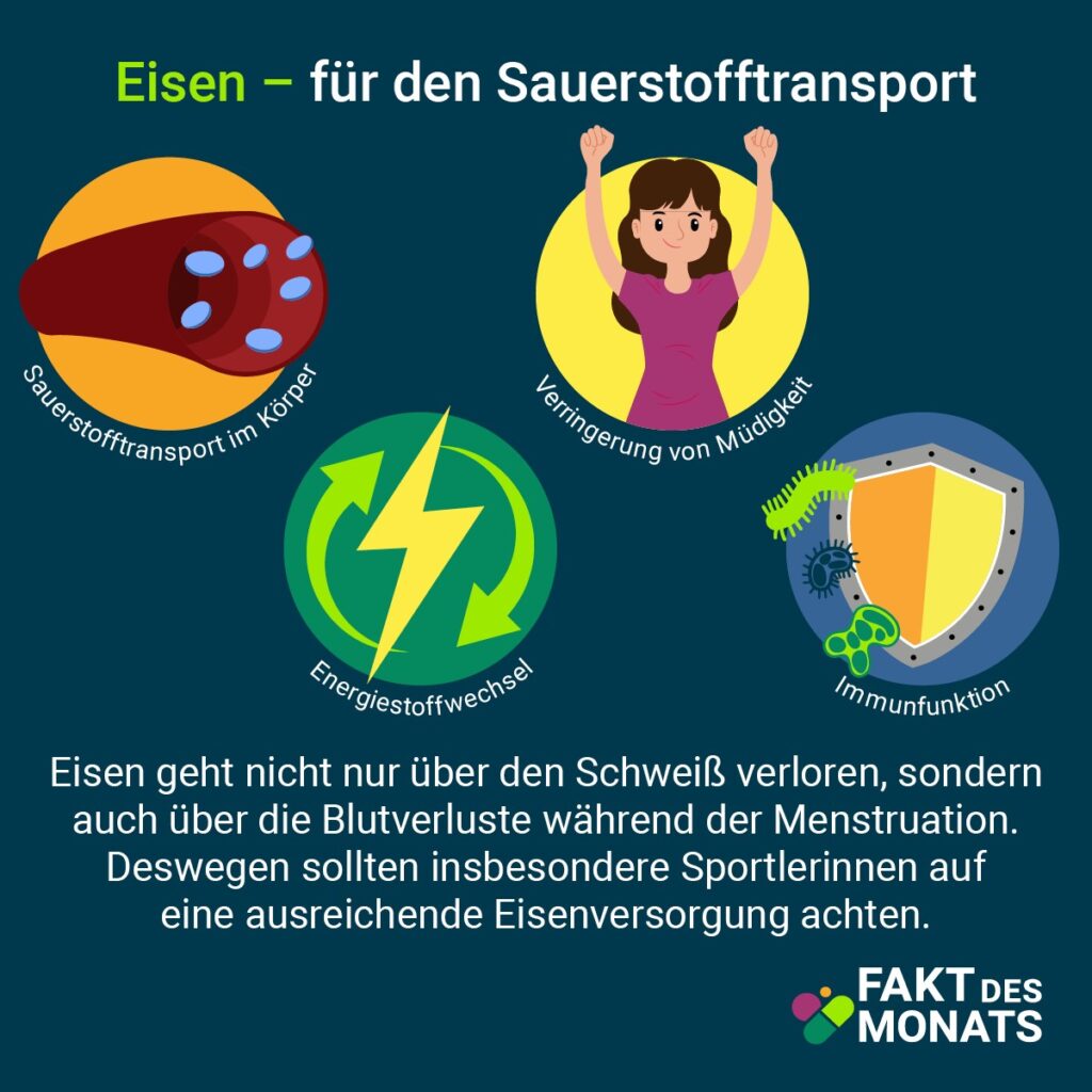 Grafik: Eisen für den Sauerstofftransport