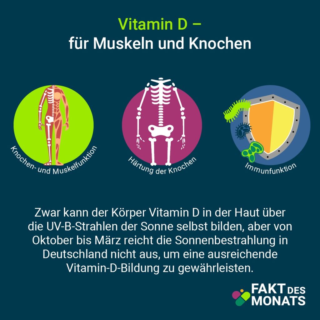 Grafik: Vitamin D für Muskeln und Knochen