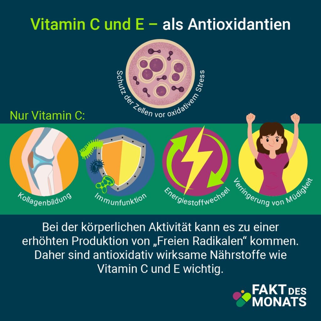 Grafik: Vitamin C und E als Antioxidantien