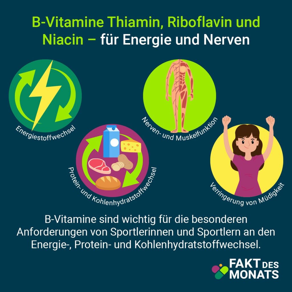 Grafik: B-Vitamine für Energie und Nerven