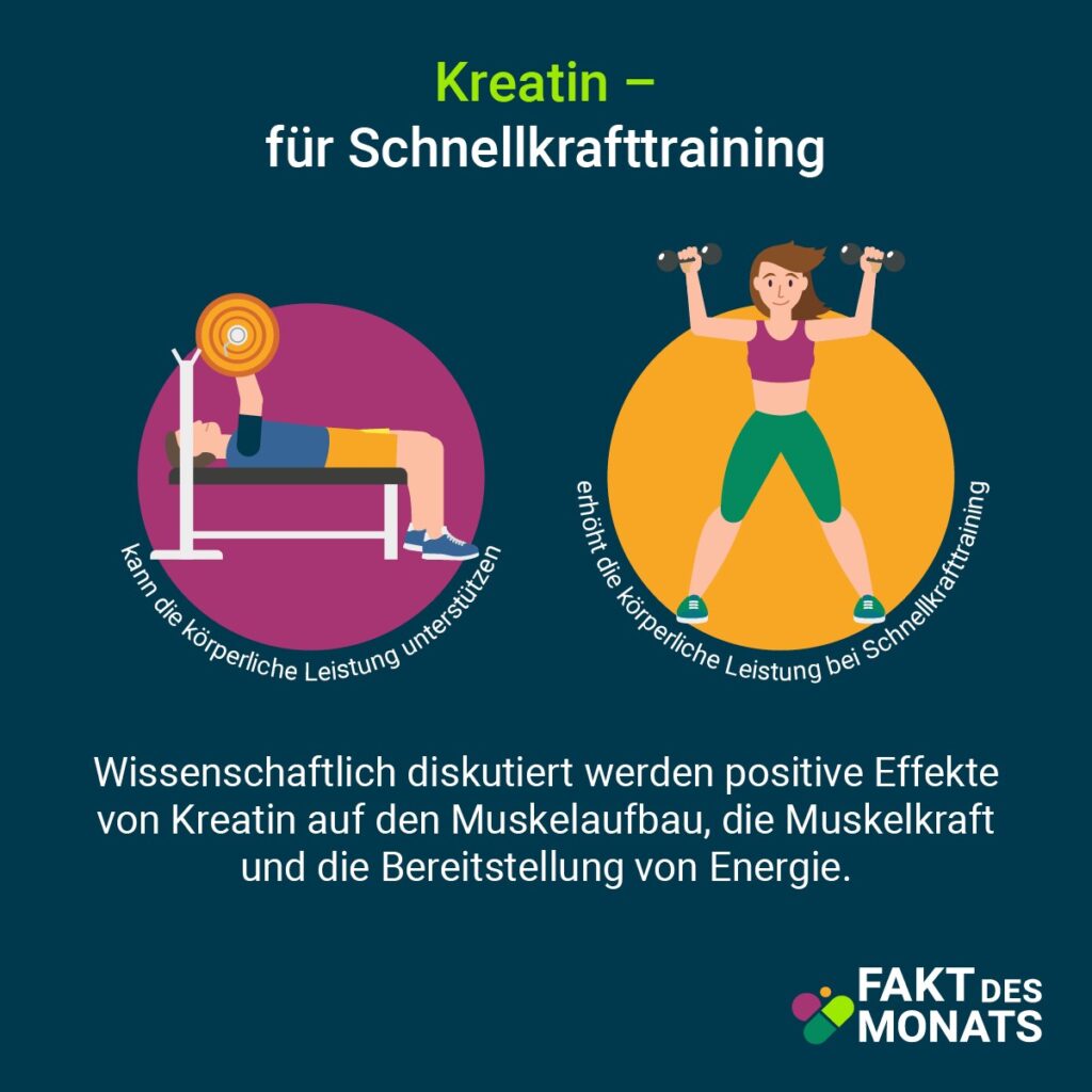 Grafik: Kreatin für Schnellkrafttraining